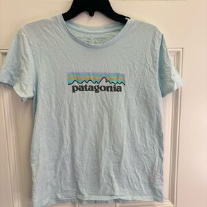 patagonia t-shirt
